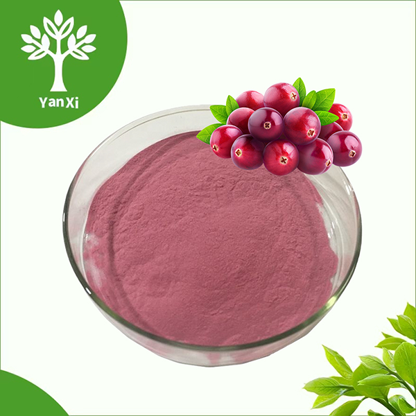 Cranberry Powder Bulk Cranberry Powder Bulk